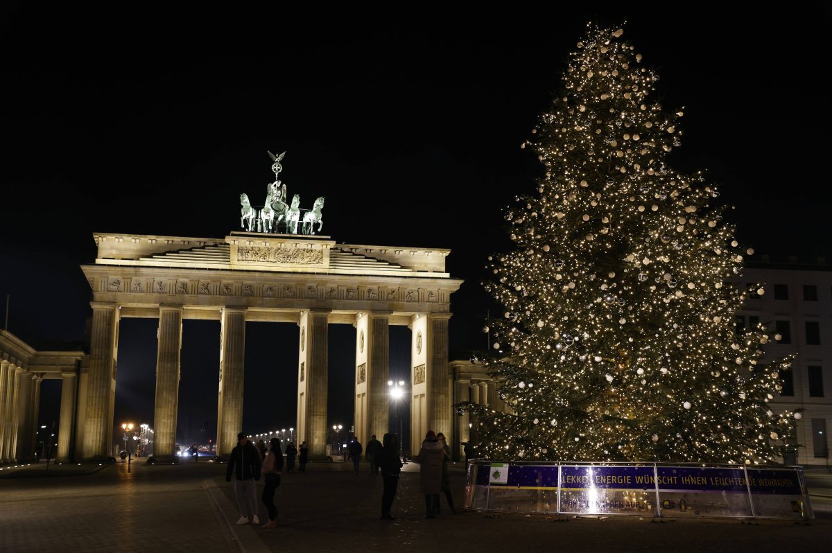 Berlin Von HIER kommt der Tannenbaum fürs Brandenburger Tor Berlin