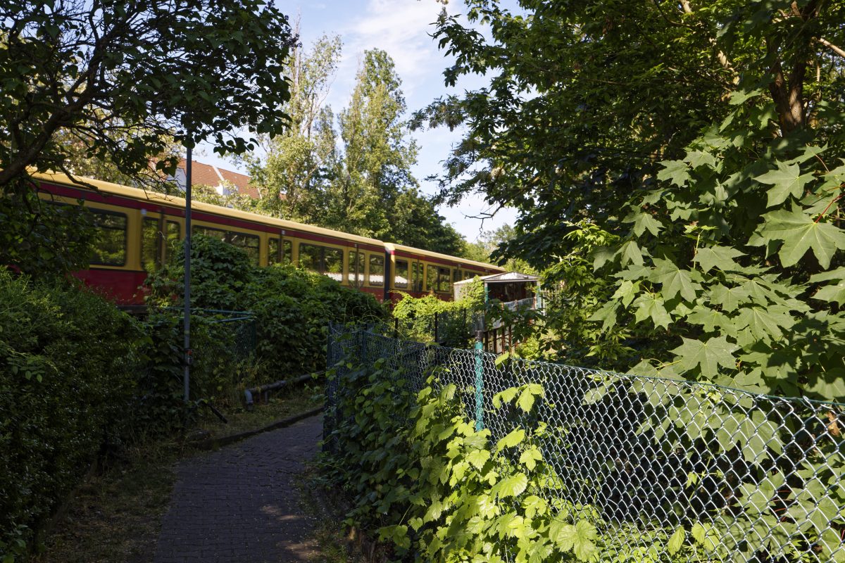 S-Bahn Berlin: Vorfall An Strecke - Einschränkungen Auf Wichtiger Linie ...