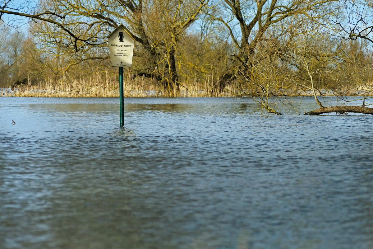 Wetter in Berlin & Brandenburg