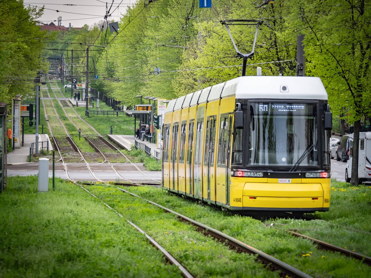 BVG