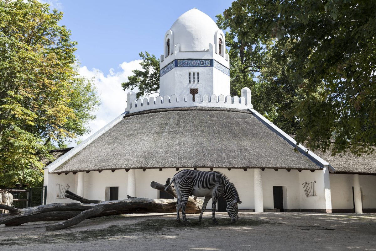 Zoo Berlin