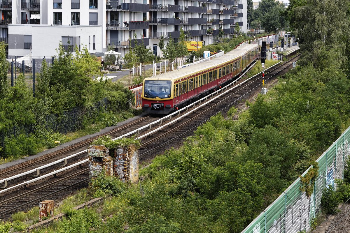 Eine S-Bahn fährt durch Berlin.