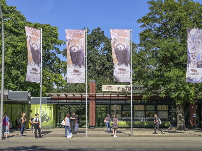 Tierpark Berlin: Nach Fuchs-Attacke 2023! So schützt der Zoo jetzt seinen Nachwuchs