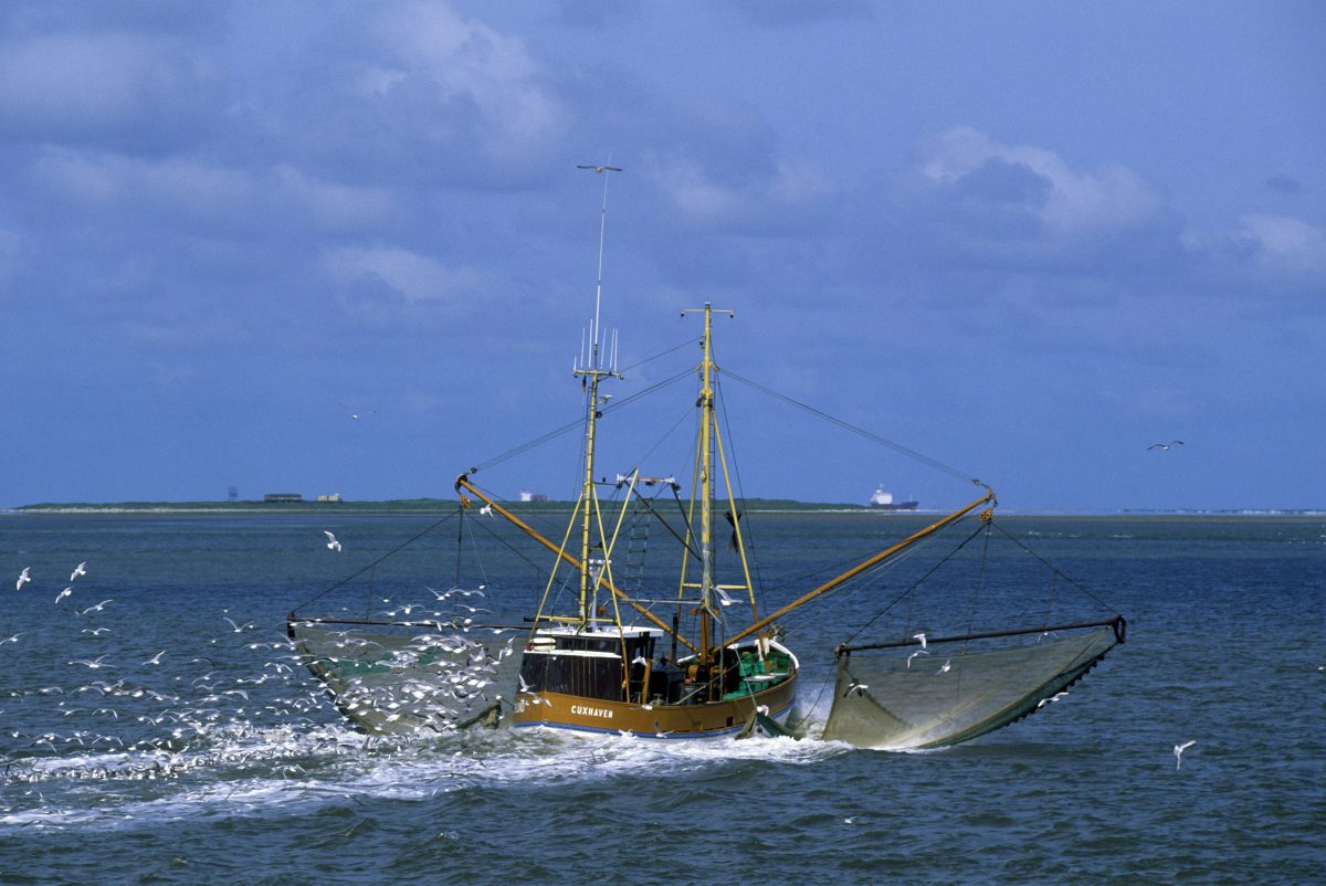 Urlaub an der Nordsee und Ostsee: Fischer in Existenznot