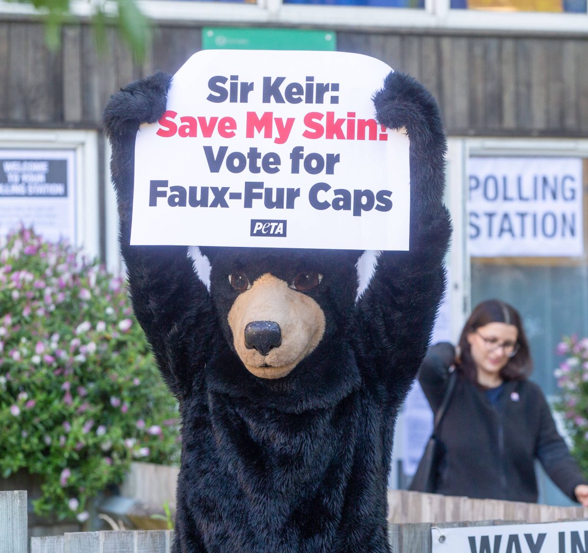 Die Tierschutzorganisation PETA nutzt die Wahl in Großbritannien, um auf den Schutz von Bären aufmerksam zu machen.