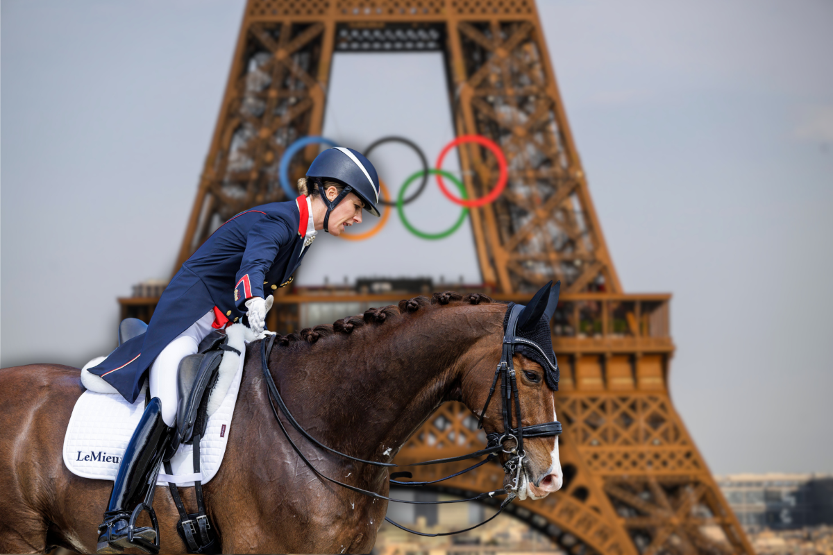 Olympia 2024 TierquälereiSkandal! PETA mit klarer Ansage Berlinlive.de