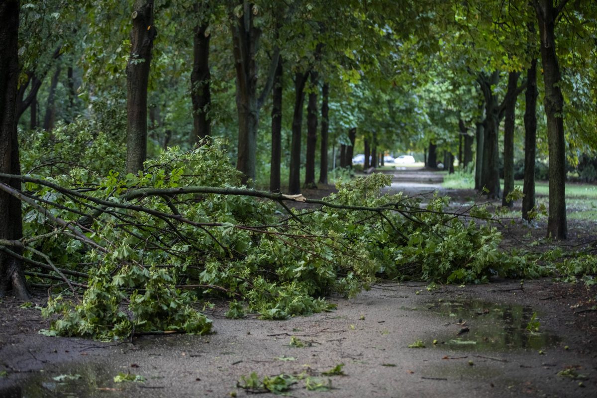 Wetter in Berlin & Brandenburg