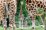 Tierpark Berlin