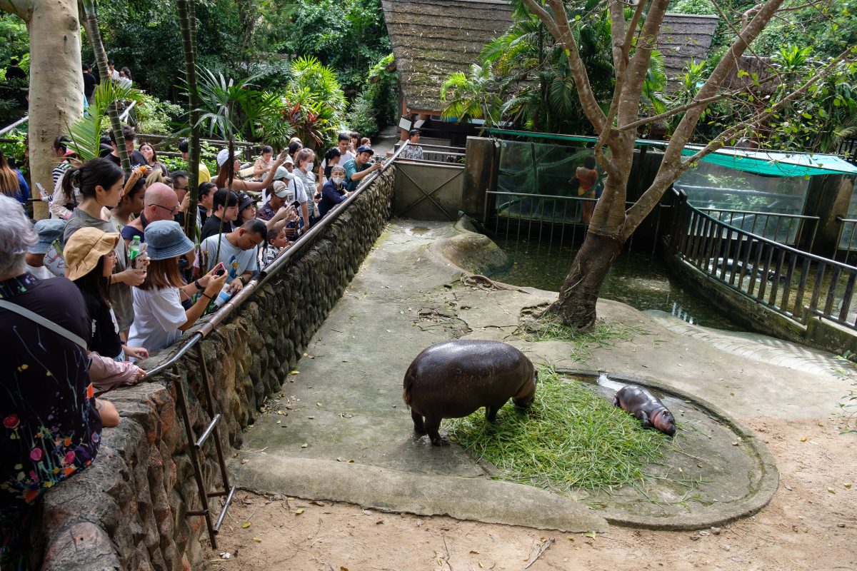 Zoo Berlin