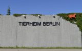 Tierheim Berlin