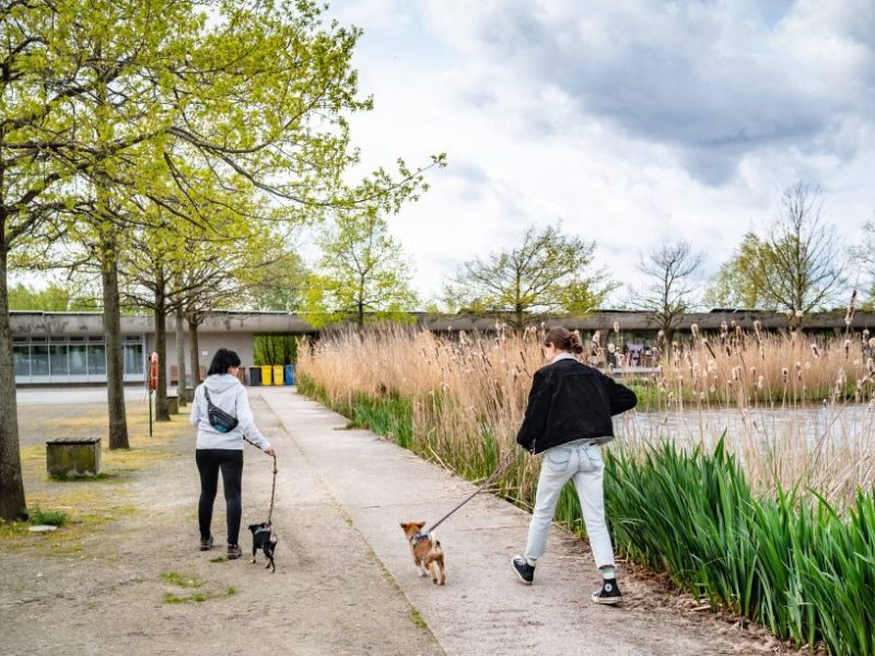 Tierheim Berlin in großer Trauer – Todesfall trifft Pfleger mitten ins Herz