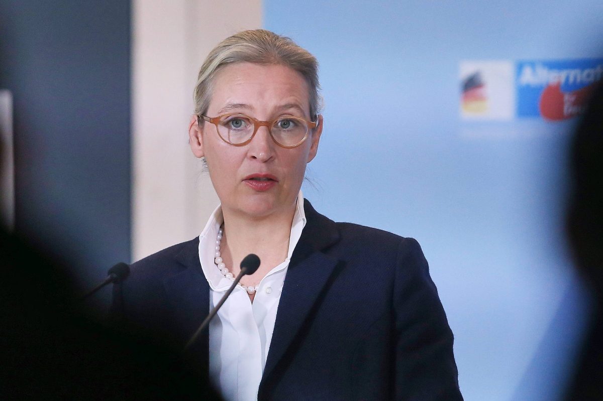 Bundestagswahl: AfD mit Weidel an der Spitze