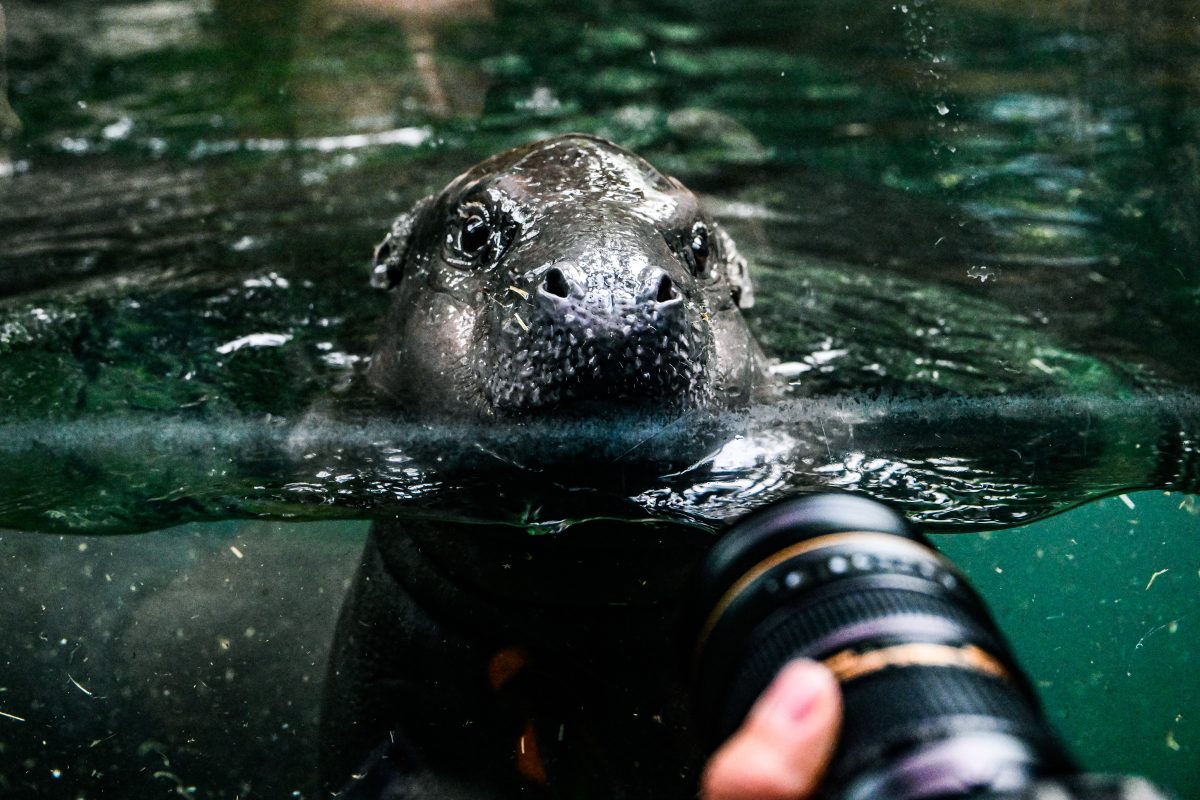 Zoo Berlin