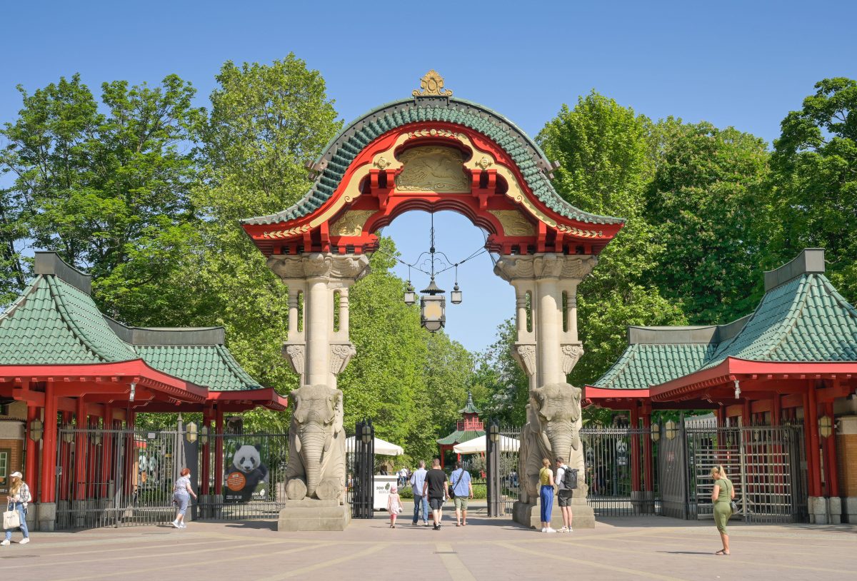 Zoo Berlin: Lange Schlangen trotz Schließung - der Grund überrascht ...