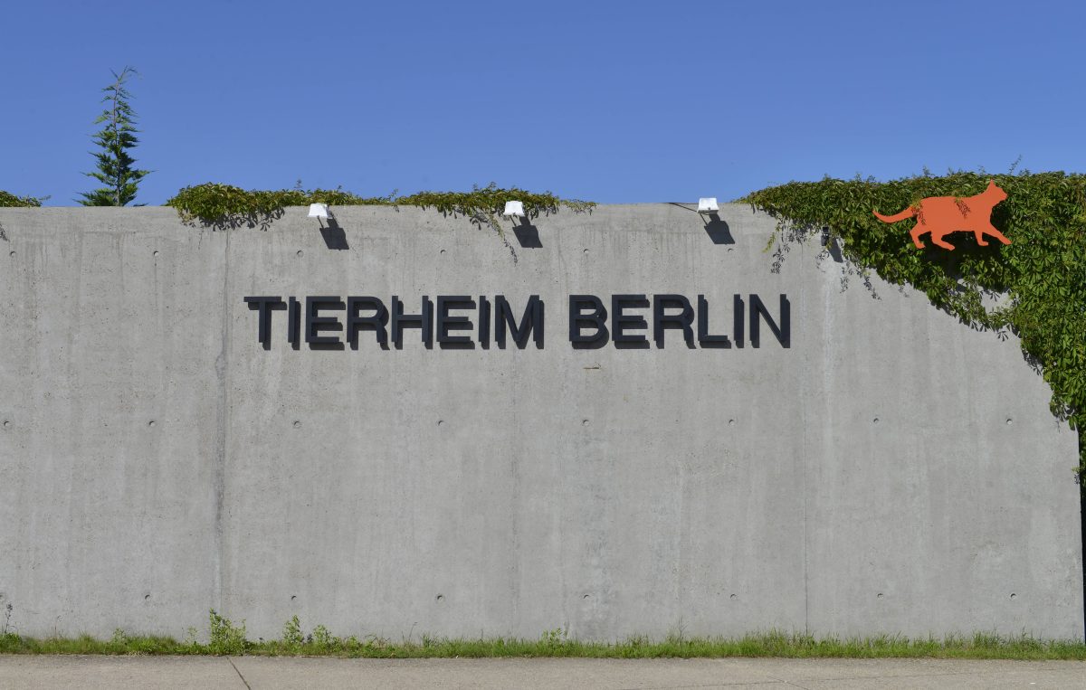 Tierheim Berlin