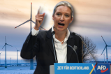 Weidel: Attacke auf Windenergie.