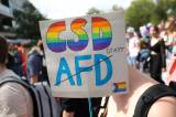 Ist die AfD bei Schwulen besonders beliebt?