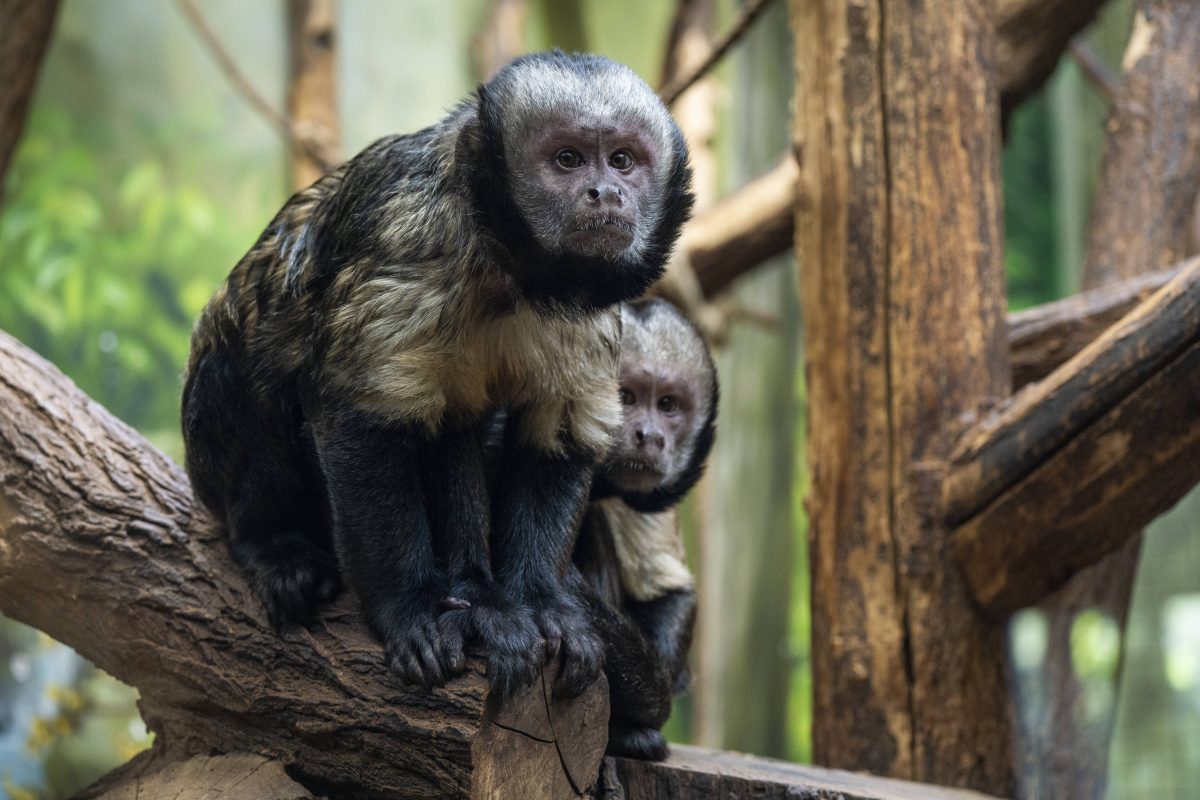 Tierpark Berlin