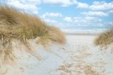 Wer Urlaub an der Ostsee macht, sollte am Strand genauer hinsehen.